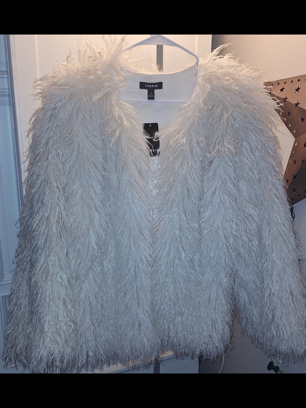 torrid Ivory Shag Faux Fur Teddy Jacket
